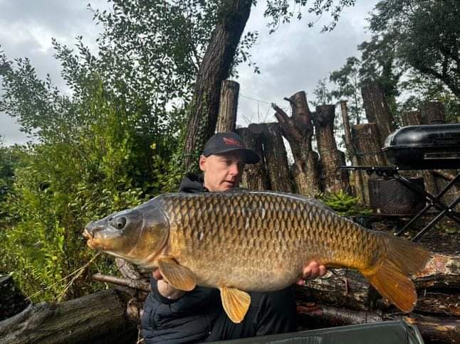carp fishing st helens