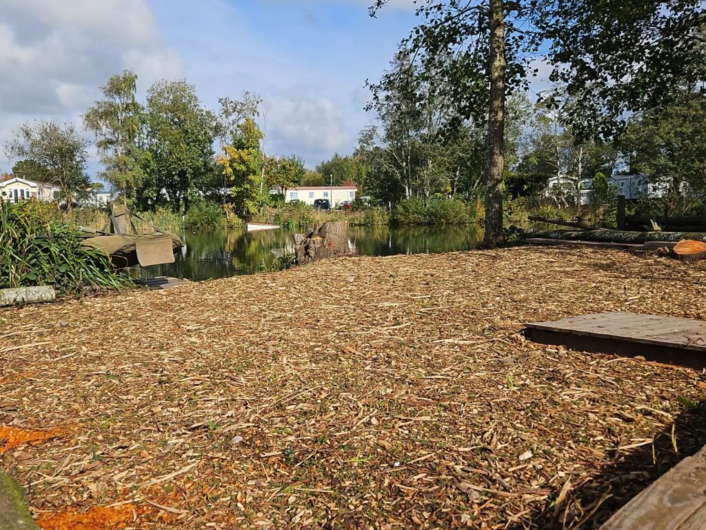 Carp Fishing Preston