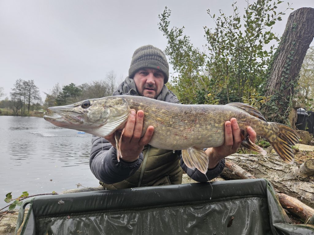 pike 11lb