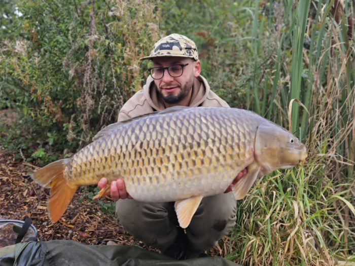 Peg 3
