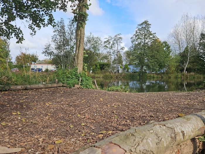 Peg 6